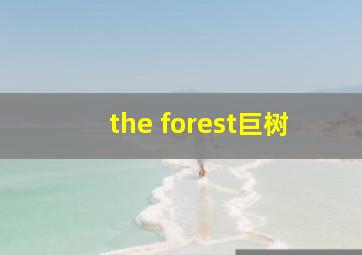 the forest巨树